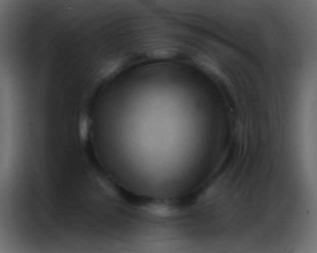 X0000086790076200705041557