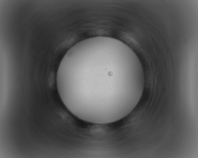 X0000086790077200705041557