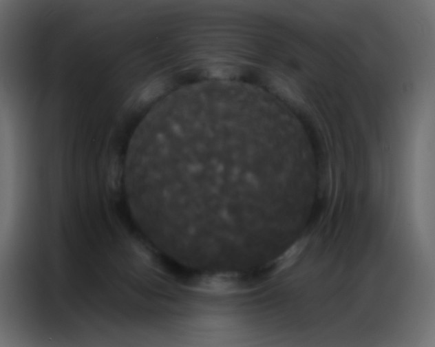 X0000086790078200705041557