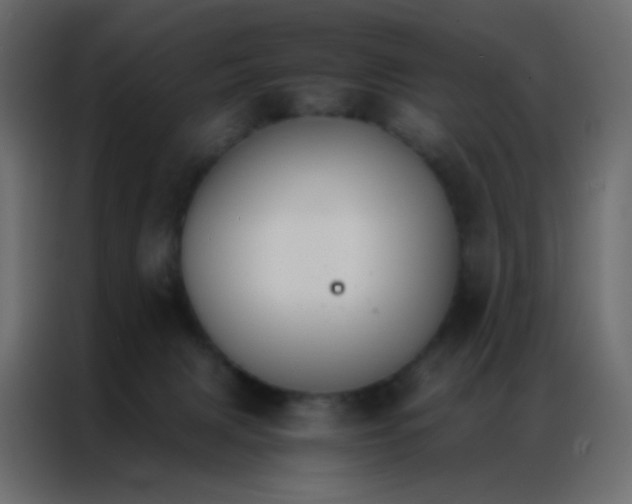 X0000086790079200705041557