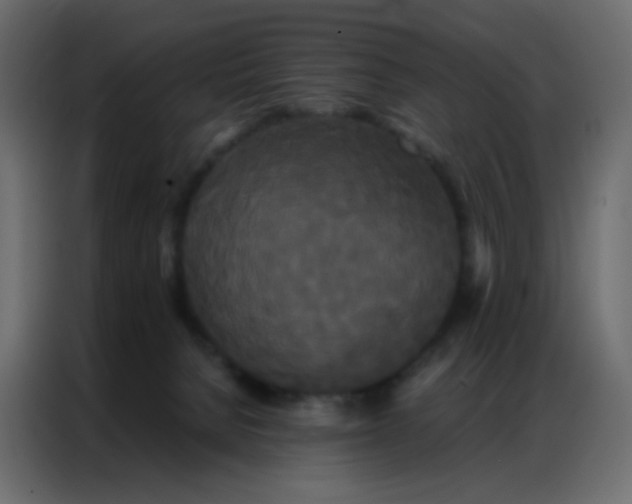 X0000086790080200705041557