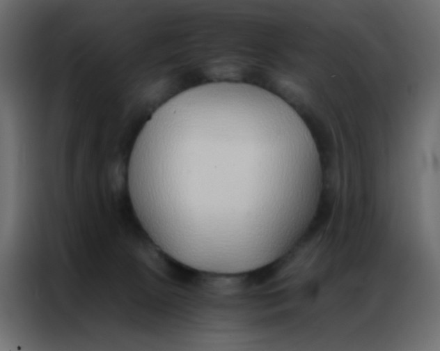 X0000086790081200705041557