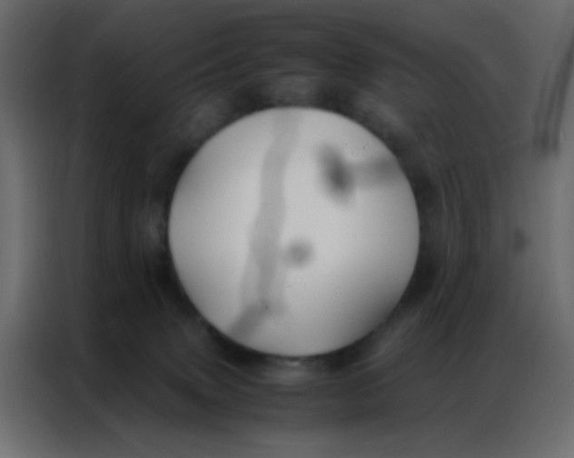 X0000086790083200705041557