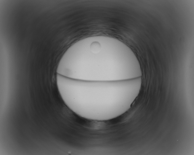 X0000086790085200705041557