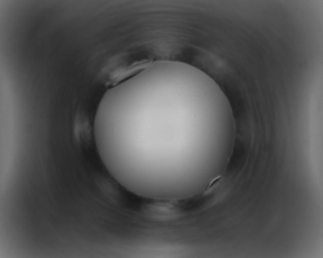 X0000086790086200705041557