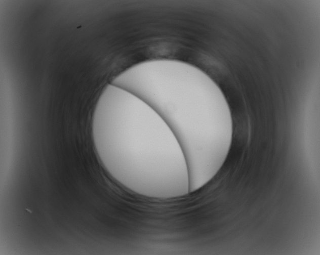 X0000086790087200705041557