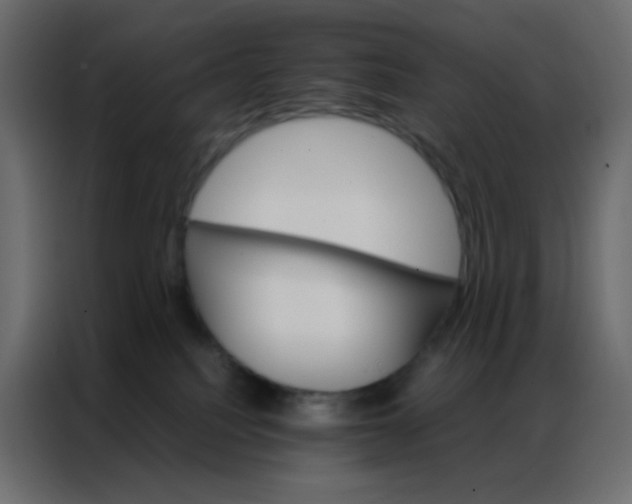 X0000086790088200705041557