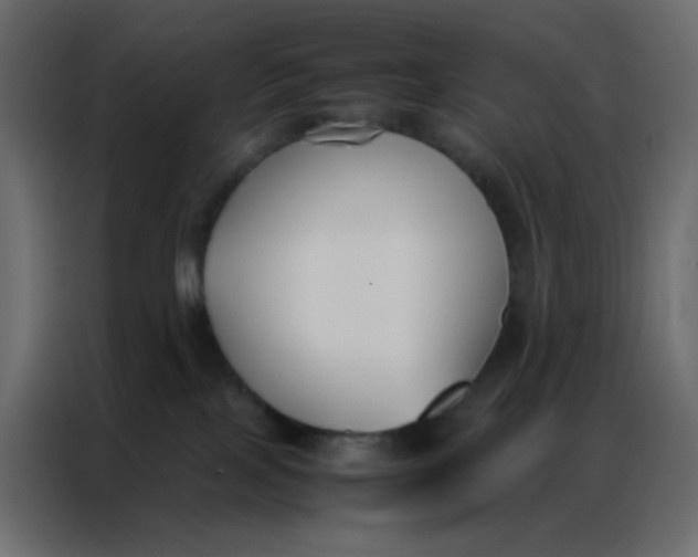 X0000086790089200705041557