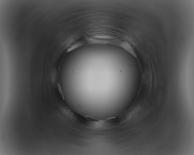 X0000086790092200705041557