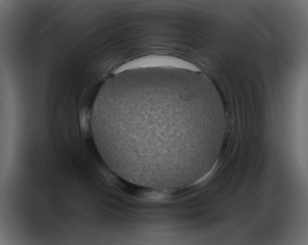 X0000086790094200705041557