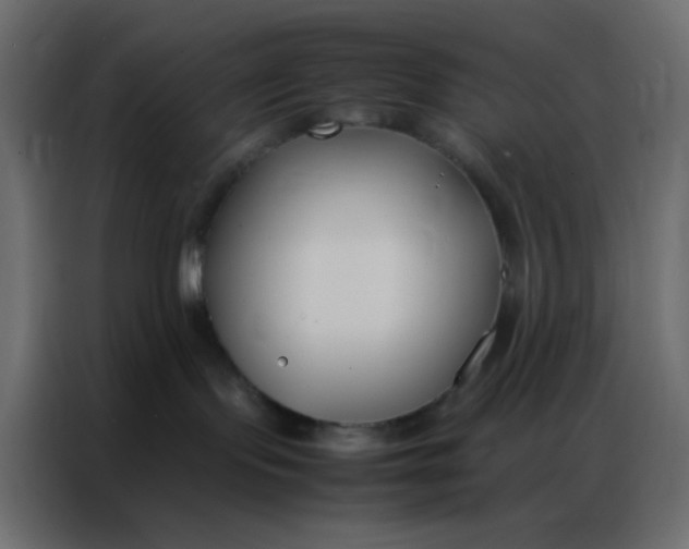 X0000086790095200705041557