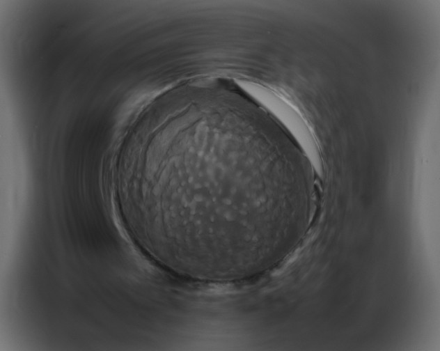 X0000086790097200705041556