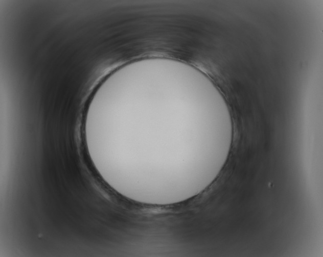 X0000086790098200705041556