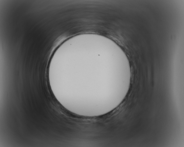 X0000086790099200705041556