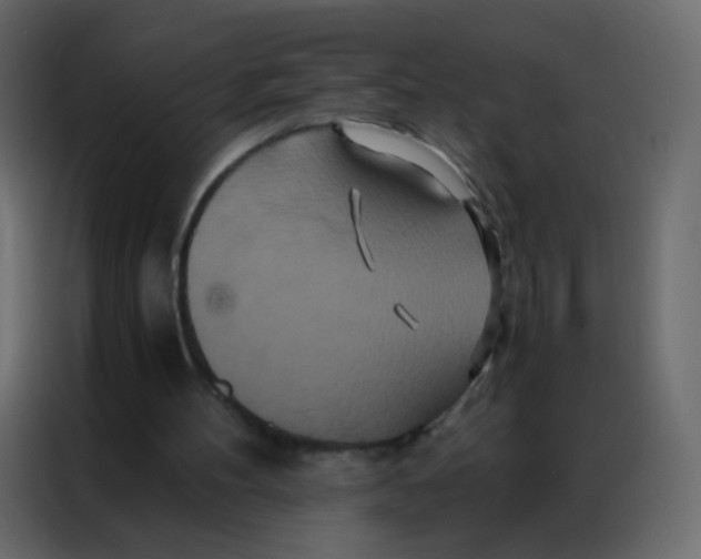 X0000086790100200705041556