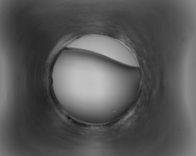 X0000086790101200705041556