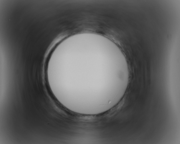 X0000086790102200705041556