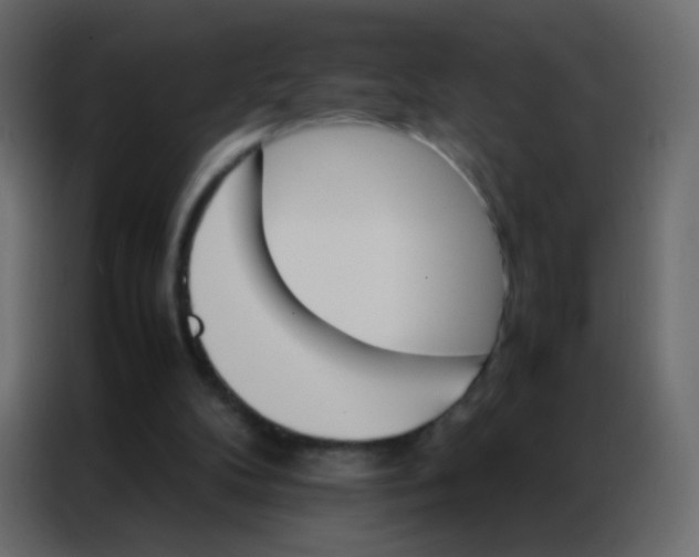 X0000086790104200705041556