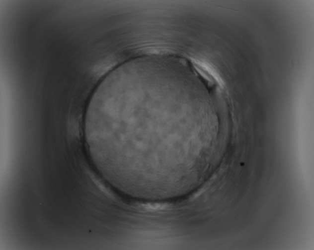 X0000086790105200705041556