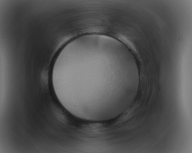 X0000086790108200705041556