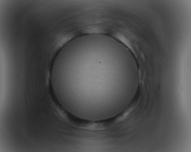 X0000086790109200705041556