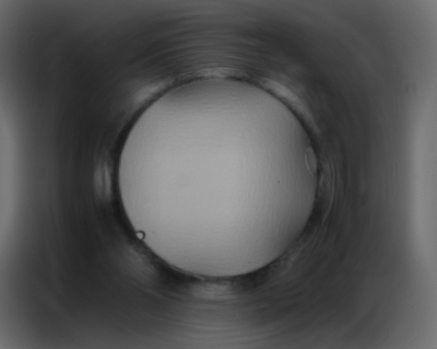 X0000086790110200705041556