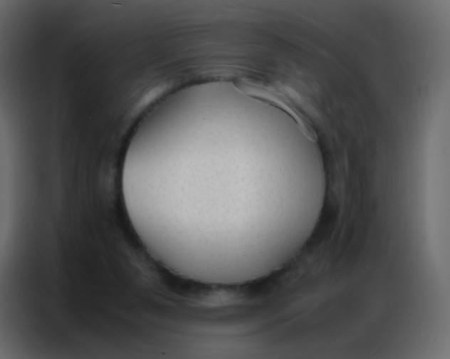 X0000086790111200705041556