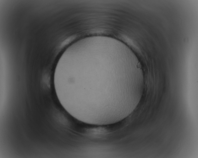 X0000086790112200705041556