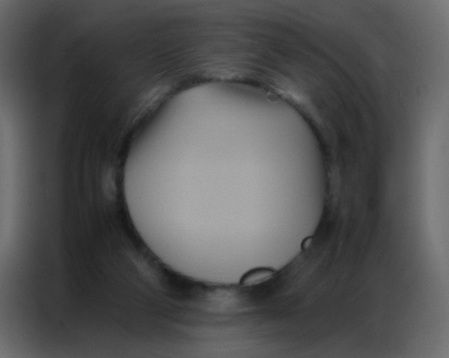 X0000086790114200705041556