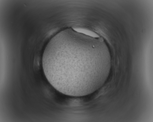 X0000086790115200705041556