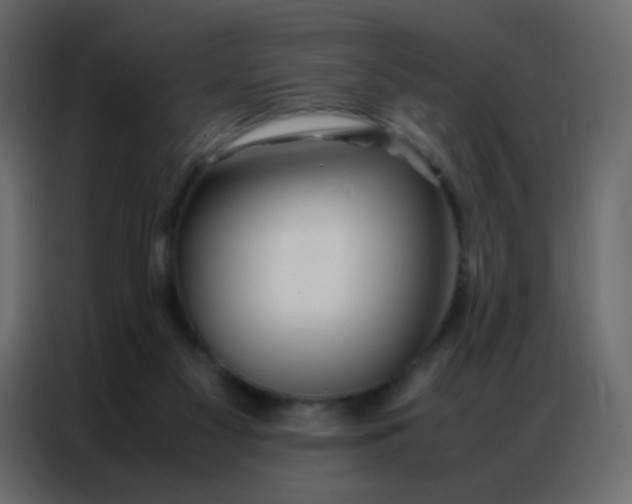 X0000086790117200705041556