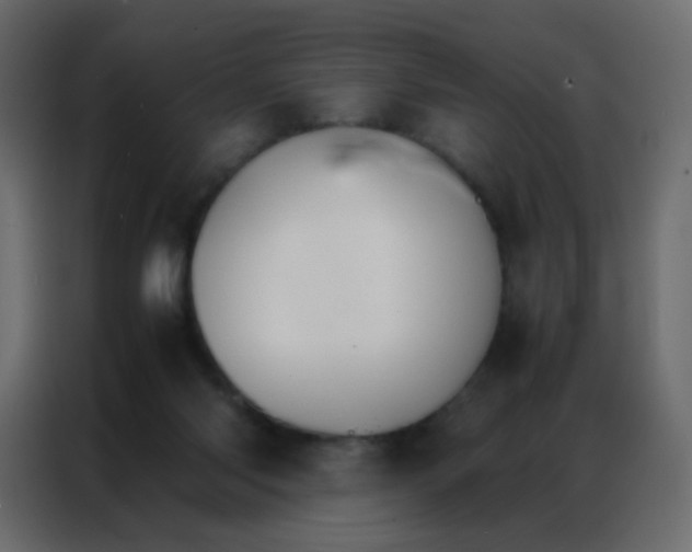 X0000086790118200705041556