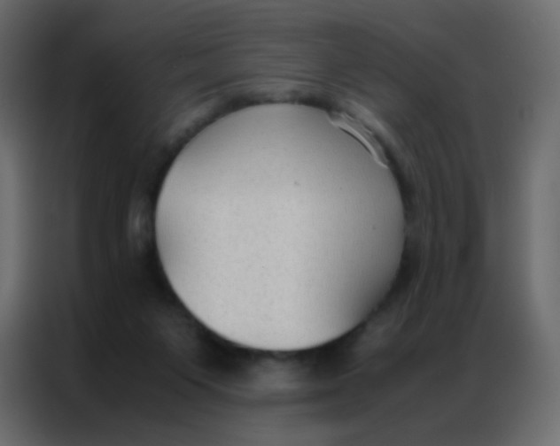 X0000086790119200705041556