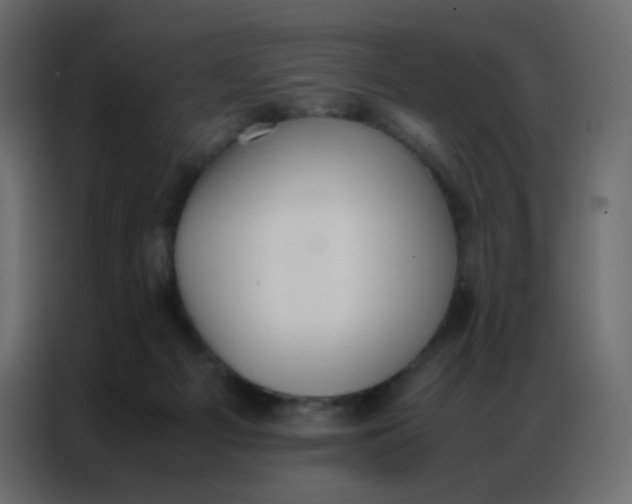 X0000086790121200705041556