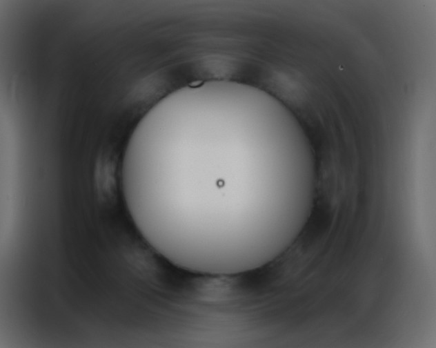 X0000086790122200705041556