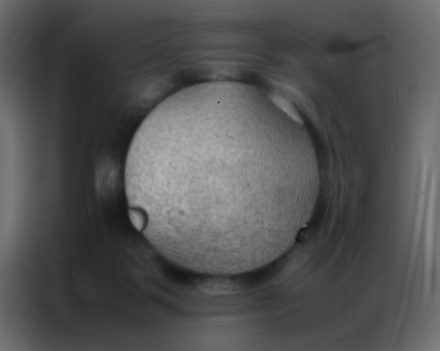 X0000086790123200705041556