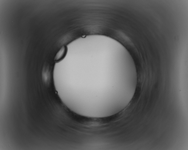 X0000086790124200705041556