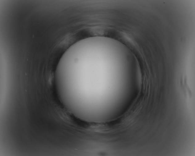 X0000086790125200705041556