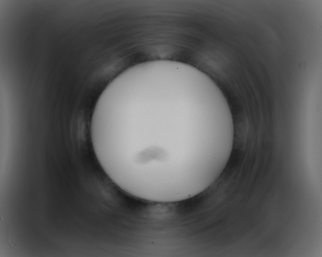 X0000086790126200705041556