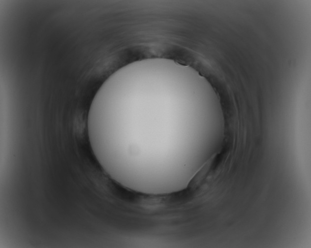 X0000086790129200705041556