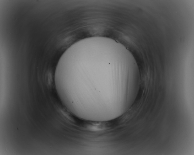 X0000086790130200705041556