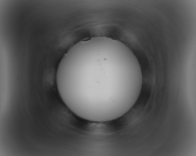 X0000086790133200705041556