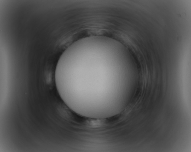 X0000086790134200705041556