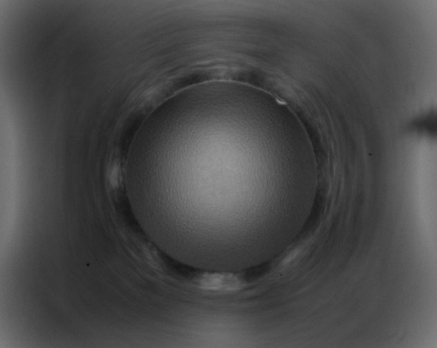 X0000086790137200705041556