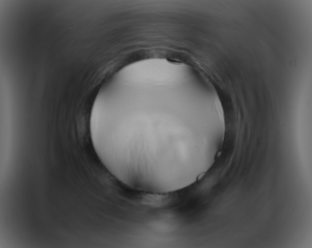 X0000086790139200705041556