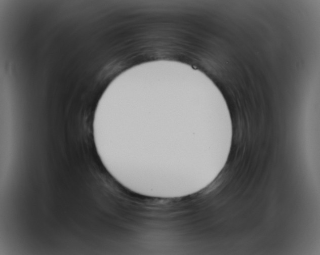 X0000086790140200705041556