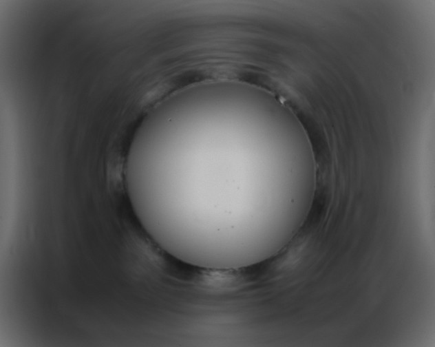 X0000086790141200705041556