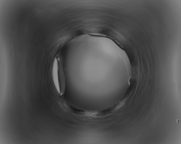 X0000086790143200705041556