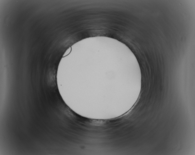 X0000086790144200705041556