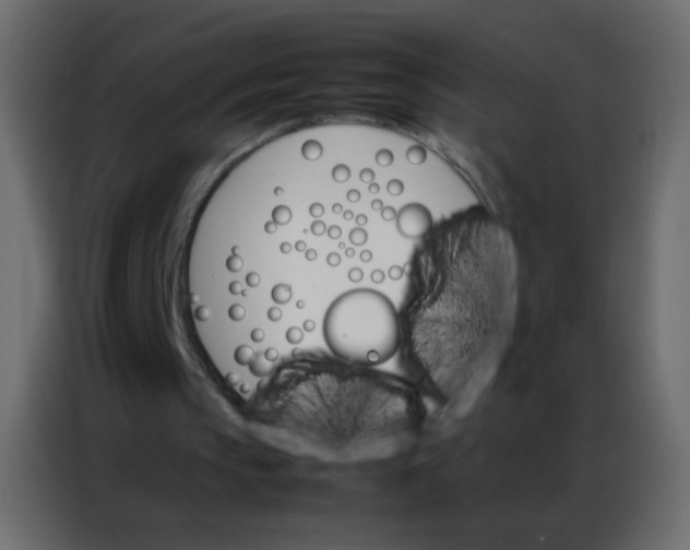 X0000086790145200705041555